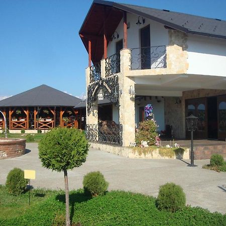 Pension La Taticu Săcălăşeni Exteriör bild